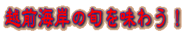 越前海岸の旬を味わう!