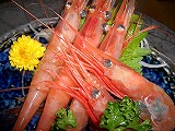 本当に甘い甘エビ
